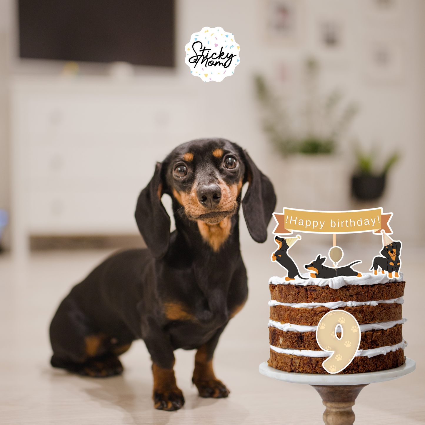 Dachshund Birthday Bundle printable - personalized by us!